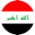 IQ Flag